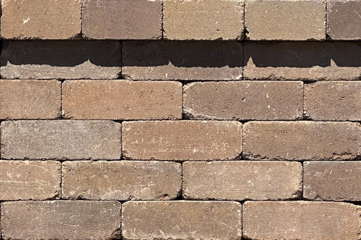 Tierra Tierra Swatch